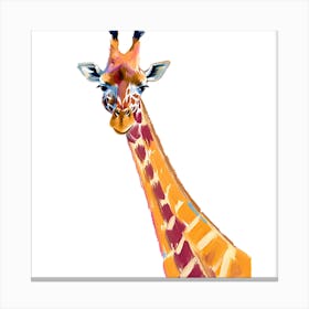 Giraffe 06 1 Canvas Print