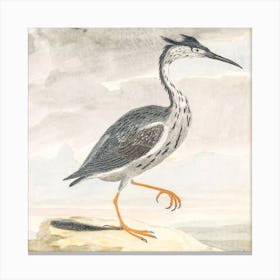 A Heron, Johan Teyler Canvas Print