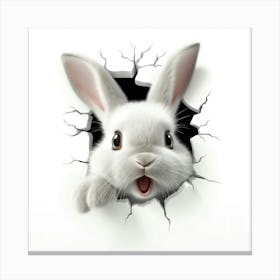 Rabbit Peeking Through A Hole 5 Canvas Print