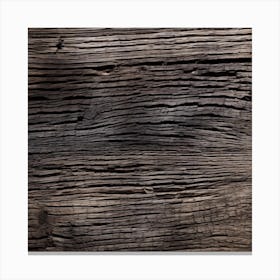 Old Wood Texture 4 Canvas Print
