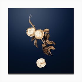 Gold Botanical White Walnut on Midnight Navy n.3668 Canvas Print