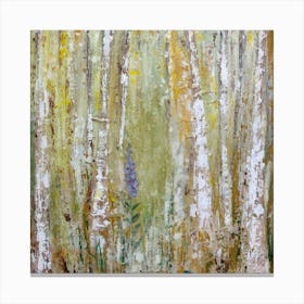 Birch Forest, Beautiful Nature Canvas Print