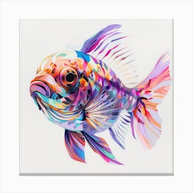 Colorful Fish 1 Canvas Print