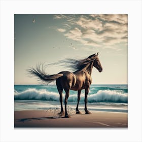 Horse On The Beach Canvas Print