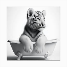 Tiger Cub In Bathtub Canvas Print