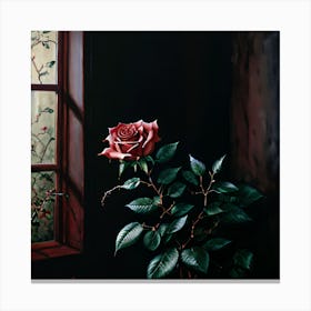 Rose By The Window Canvas Print