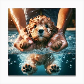 Puppy In The Pool Canvas Print