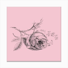 Roses On A Pink Background Canvas Print