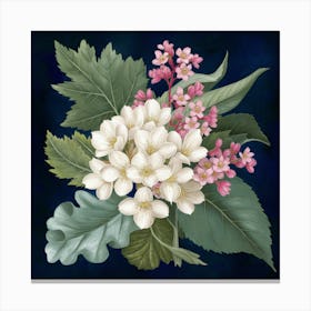 White Flowers On A Blue Background Canvas Print