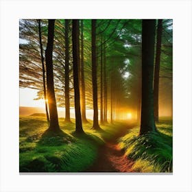 Sunrise In The Forest 6 Canvas Print