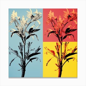 Andy Warhol Style Pop Art Flowers Kangaroo Paw 2 Square Canvas Print