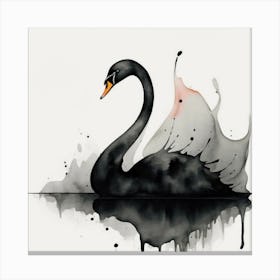 Black Swan 3 Canvas Print