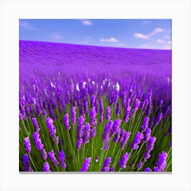 Lavender Field 4 Canvas Print