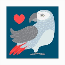 PARROT LOVE African Gray Parrot Bird with Heart in Grey Blue Red on Dark Blue Canvas Print