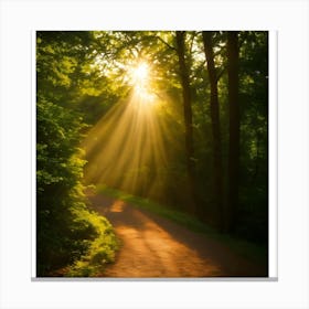 Sunrise In The Woods Canvas Print