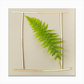 Fern In Frame 2 Botanical Photography Canvas Print