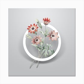 Vintage Broad Leaved Anemone Minimalist Flower Geometric Circle on Soft Gray Canvas Print