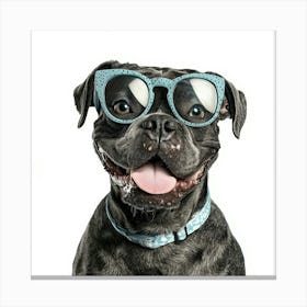 Dog Wearing Sunglasses 5 Canvas Print