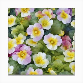 Phlox Canvas Print