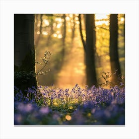 Bluebells In The Woods Canvas Print