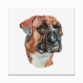 The Boxer Dog Canvas Print