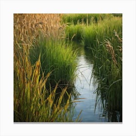 Reeds And Water Canvas Print