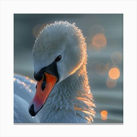 Beautiful Swan 4 Canvas Print