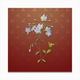 Vintage Phlox Botanical on Falu Red Pattern n.0590 Canvas Print