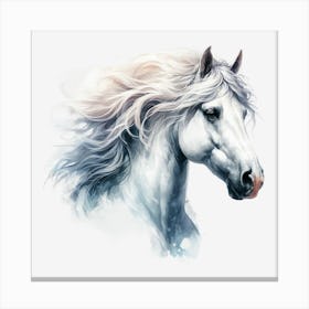 White Horse.4 Canvas Print
