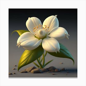 Jasmine Flower 2 Canvas Print