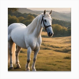 White Horse In The Field 2 Canvas Print