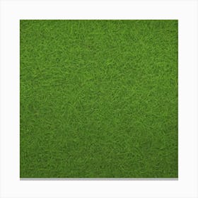 Green Grass Background 7 Canvas Print