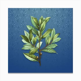 Vintage Bay Laurel Botanical on Bahama Blue Pattern n.2425 Canvas Print