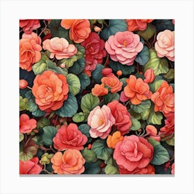 Colorful Of Begonia Square Art Print 2 Canvas Print