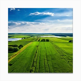 Aerial View Of A Green Field Canvas Print