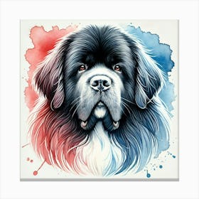 Watercolor Newfoundland 2 Canvas Print