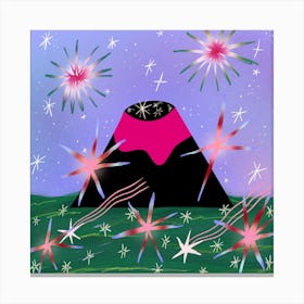 Fireworks starry skies Canvas Print