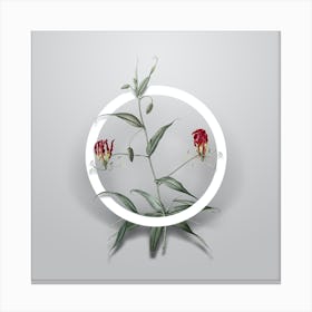 Vintage Flame Lily Minimalist Botanical Geometric Circle on Soft Gray n.0183 Canvas Print