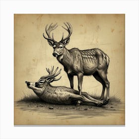 Deer And Elk Canvas Print