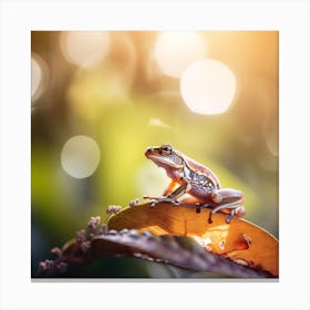 Frog On Leaf Canvas Print