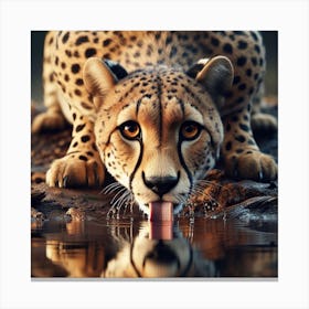 Cheetah 3 Canvas Print