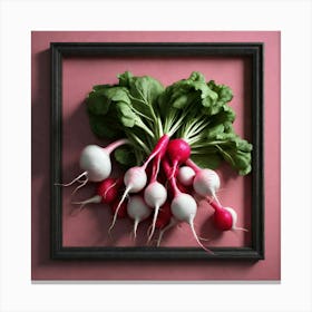 Radishes 44 Canvas Print