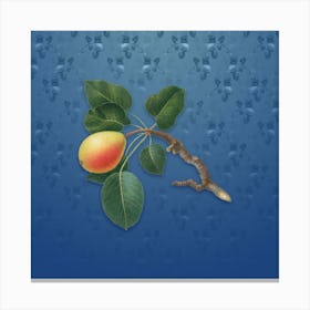 Vintage Pear Botanical on Bahama Blue Pattern n.0499 Canvas Print