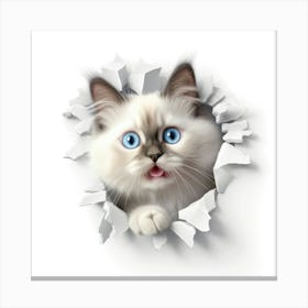 Ragdoll Peeking Through A Hole 1 Canvas Print