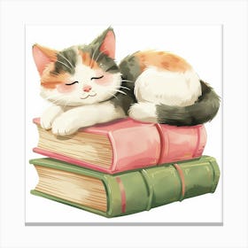 Cat Sleeping On Books Canvas Print