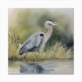 Great Blue Heron Watercolour 2 Canvas Print