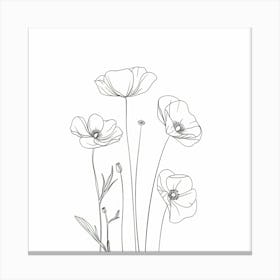 Poppies 62 Canvas Print