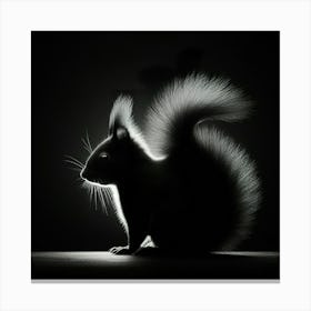 Squirrel In The Dark Canvas Print