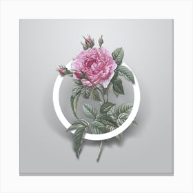 Vintage Pink French Rose Minimalist Floral Geometric Circle on Soft Gray n.0188 Canvas Print