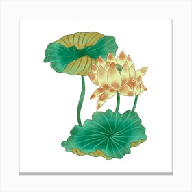 Lotus Flower 57 Canvas Print